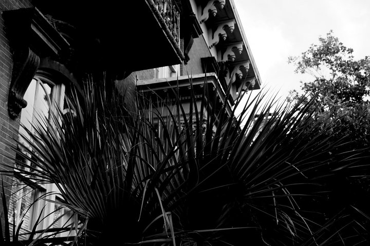Genteel And Bard's Savannah Dark History And Ghost Walking Tour - thumb 2