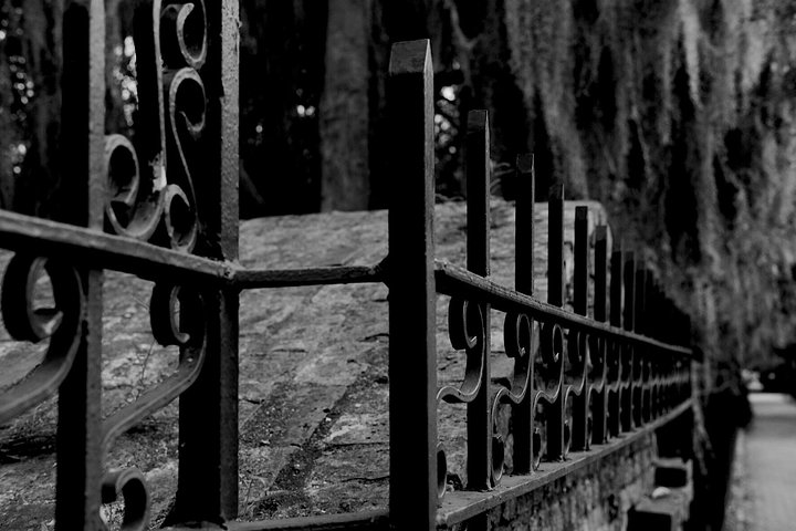 Genteel And Bard's Savannah Dark History And Ghost Walking Tour - thumb 5