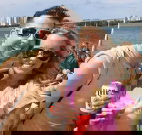 Clearwater Dolphin-Watching Tour - USA Accommodation