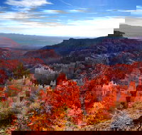 7 Day Western National Parks Tour, Las Vegas to San Francisco via Grand Canyon - Tourism Bookings