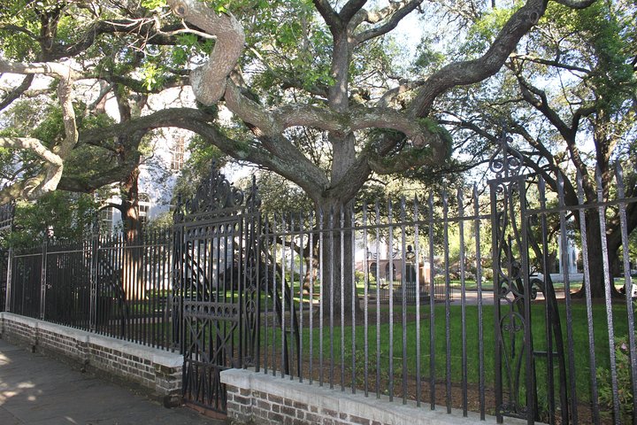 Charleston City Bus Tour With Charleston Museum Admission - thumb 2