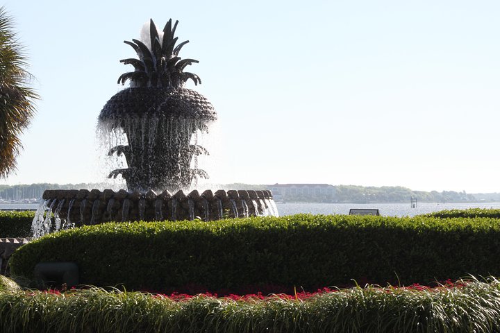 Charleston City Bus Tour With Charleston Museum Admission - thumb 5