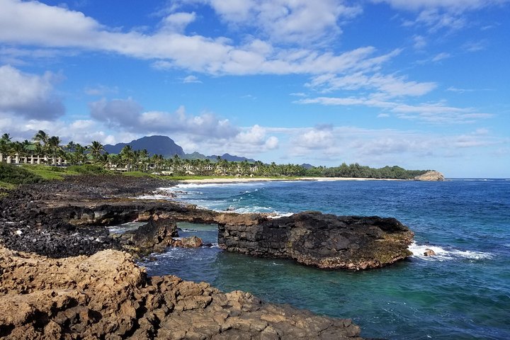 Private Waimea Canyon Tour - thumb 5