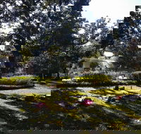 Yoga in Forsyth Park - Students Accommodation