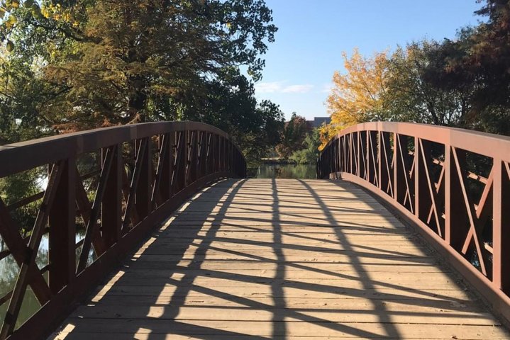 Lady Bird Lake Bike Tour In Austin - thumb 4