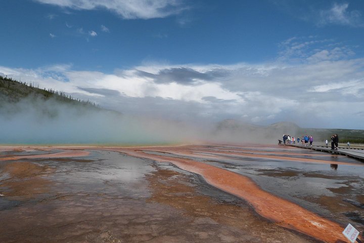 Yellowstone Lower Loop Full-Day Tour - thumb 5