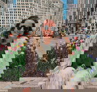 Chicago Instagram Walking Tour (Private & All- Inclusive) - Tourism Bookings