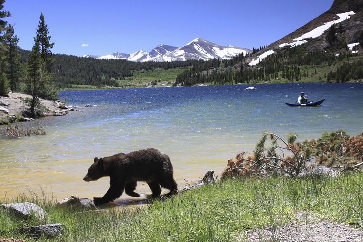 Small Group Yosemite And Giant Sequioas Day Trip From San Francisco - thumb 5