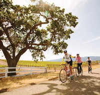 Wine Country Farm to Table Bike Tour - Lunch Included - Tourism Bookings