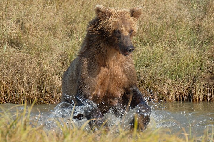 Ultimate Alaskan Adventure - thumb 2