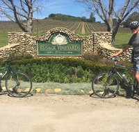 Santa Barbara Vineyard to Table Taste Tour by Bike - Tourism Bookings