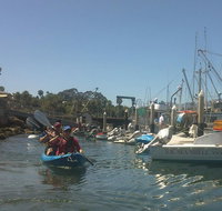 Santa Barbara Kayak Tour - Tourism Bookings