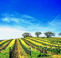 Small-Group Santa Barbara Wine Tour MAX 7 GUESTS to Private Locations - Tourism Bookings