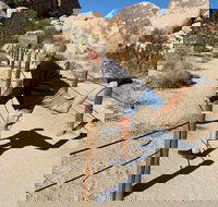 Magical Joshua Tree Hidden Valley Scavenger Hunt - Tourism Bookings