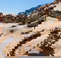 Joshua Tree National Park Customized Guided Hiking Tour - Tourism Bookings