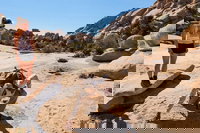 Palm Springs Ca Tourism Bookings