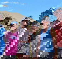 Half-Day Guided Hike in Joshua Tree National Park - Tourism Bookings