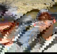 Full Day Hike in Joshua Tree National Park - Tourism Bookings