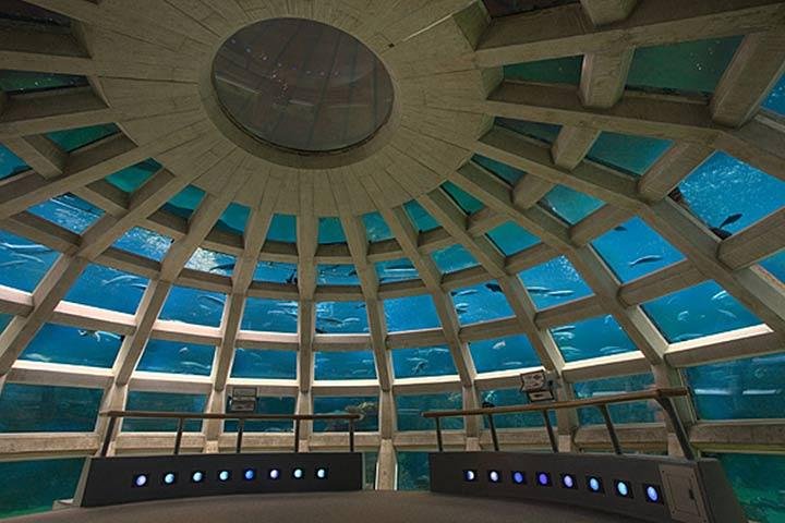 Seattle CityPASS - thumb 1