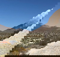 Joshua Tree National Park Jeep Tour - Tourism Bookings