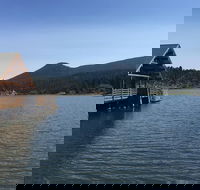 Private Denver and Foothills Mountain Tour - Students Accommodation