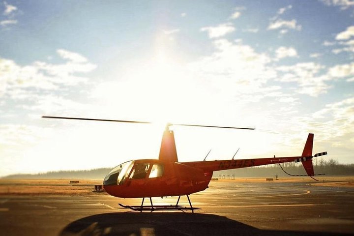 New Orleans City And Swamp Helicopter Tour - thumb 4