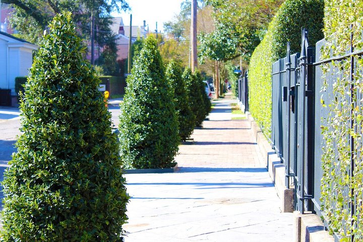 Garden District Walking Tour Of New Orleans - thumb 1