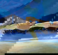 MystÃ¨re by Cirque du Soleil at Treasure Island Hotel & Casino - USA Accommodation