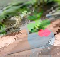 Small-Group Cocktail Tour in Denver - Students Accommodation