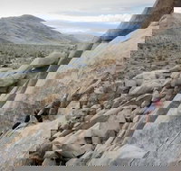 Rock Climbing Trips in Joshua Tree National Park 4 Hours - Tourism Bookings