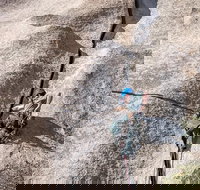 Rock Climbing Trips in Joshua Tree National Park 6 Hours - Tourism Bookings