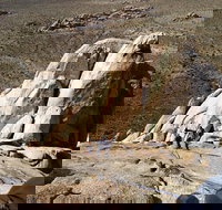 Rock Climbing Trips in Joshua Tree National Park 8 Hours - Tourism Bookings