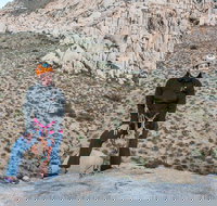 Rappelling Adventure in Joshua Tree National Park 4 Hours - Tourism Bookings