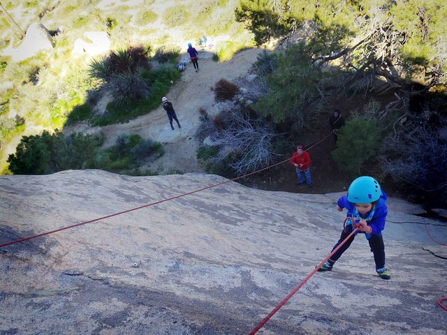 Family Rock Climbing Trips In Joshua Tree National Park (4 Hours) - thumb 3