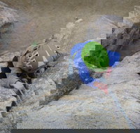 Family Rock Climbing Trips in Joshua Tree National Park 8 Hours - Tourism Bookings