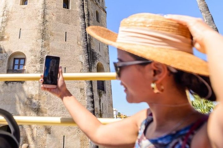 48-Hour San Antonio Hop-on Hop-off Plus Museum Of Art Admission - thumb 5