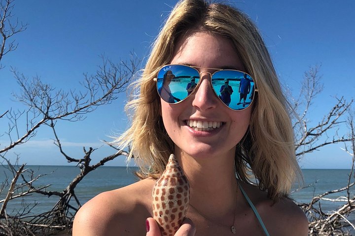 10,000 Islands Excursion Small-Group 3.5 Hour Dolphin & Shelling Boat Tour - thumb 1