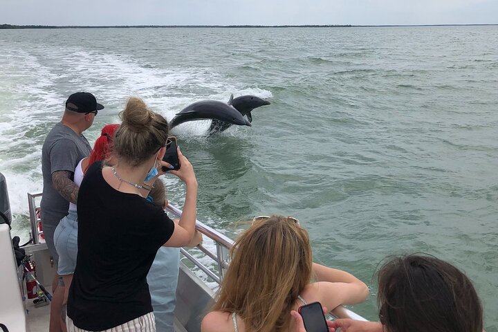 10,000 Islands Excursion Small-Group 3.5 Hour Dolphin & Shelling Boat Tour - thumb 4
