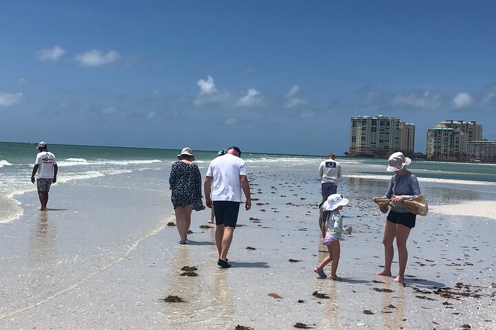 10,000 Islands Excursion Small-Group 3.5 Hour Dolphin & Shelling Boat Tour - thumb 5