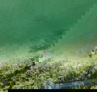 Taste of Miami Private Helicopter Tour - Tourism Bookings