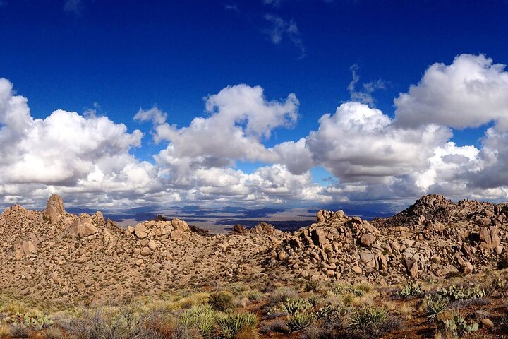 Iconic Tom's Thumb Hiking Adventure In Scottsdale - thumb 3