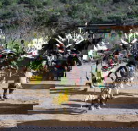 Half-Day Salt River Raft Trip - Students Accommodation