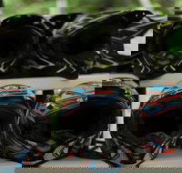 Alpine ATV Full Day Adventure - Haines - USA Accommodation