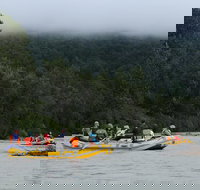 Half-Day Chilkat Bald Eagle Preserve Float Tour - USA Accommodation