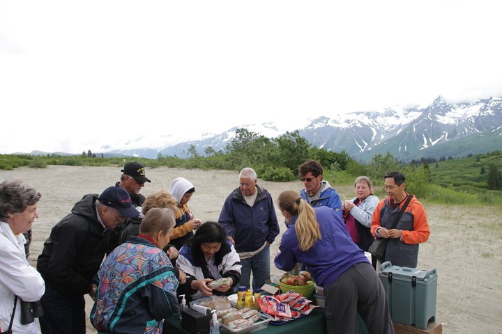 Haines Summit By Van - thumb 2