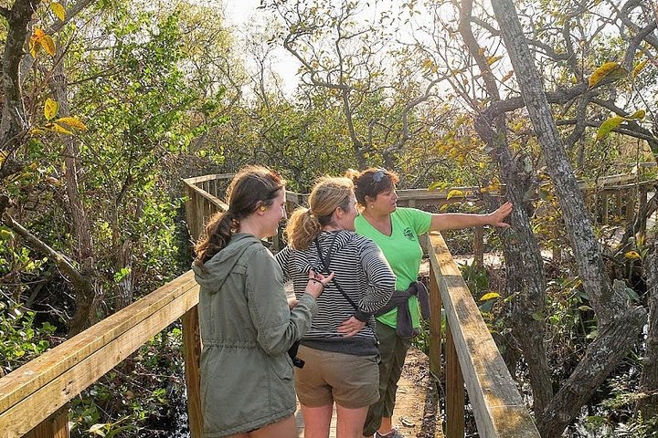 1-Hour Air Boat Ride And Nature Walk With Naturalist In Everglades National Park - thumb 2