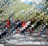 The New York Sightseeing Flex Pass Save Big on 100 Attractions and Tours - USA Accommodation