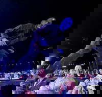 Blue Man Group at the Luxor Hotel and Casino - USA Accommodation