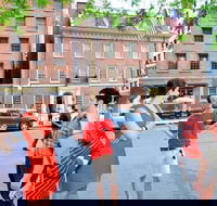 New York Alexander Hamilton's Haunts and Hangouts Tour - USA Accommodation