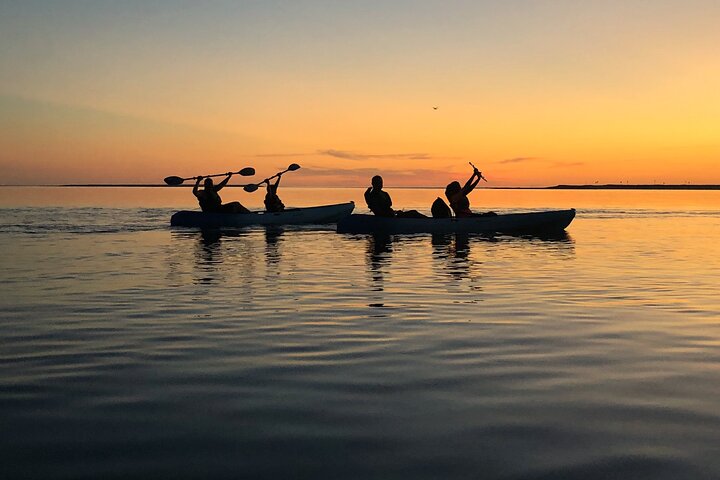 10,000 Islands Sunset & Shelling Kayak Adventure Tour: Naples Kayak Adventures - thumb 1